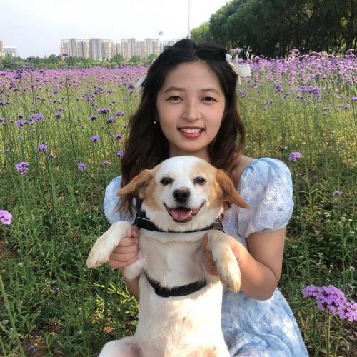 龙华综合能力家教李老师
