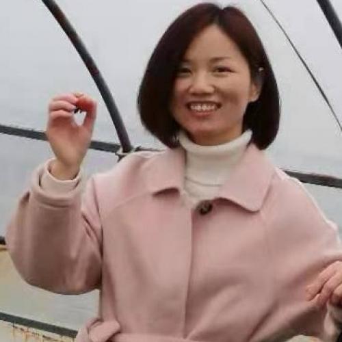龙华日语家教张老师